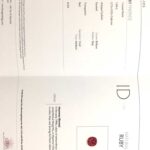 1.04ct Ruby, view 4