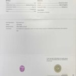 1.7ct Oval Pink Sapphire, view 3