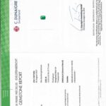 3.81ct Emerald, view 3