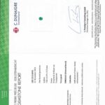 Oval Emerald, view 3