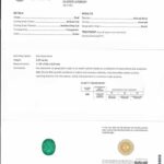 3.29ct Oval Emerald, view 3