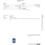 4.06ct Oval Blue Sapphire, view 3