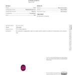 2.53ct Oval Ruby, view 3