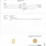 5.04ct Yellow Sapphire, view 3