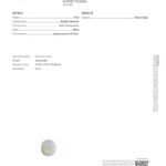 6.66ct Oval White Opal, view 3