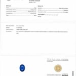 4.1ct Oval Blue Sapphire, view 3