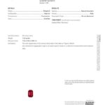 1.43ct Emerald Cut Ruby, view 3