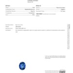 3.07ct Oval Blue Sapphire, view 3