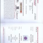 0.77ct Round Purple Sapphire, view 3